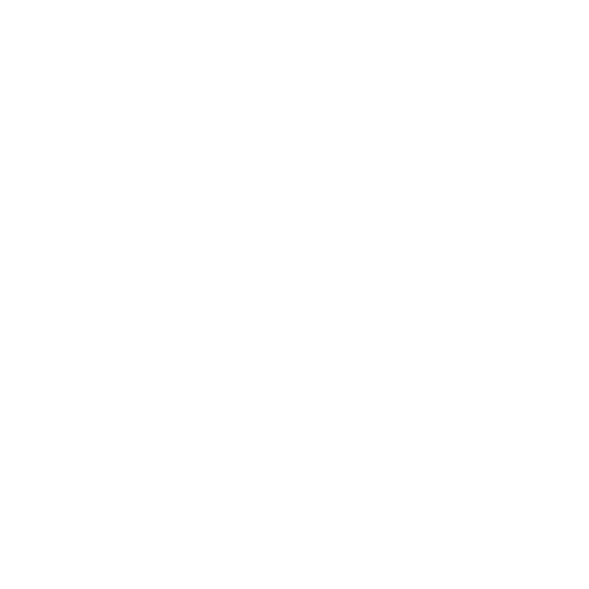 Disney internship work