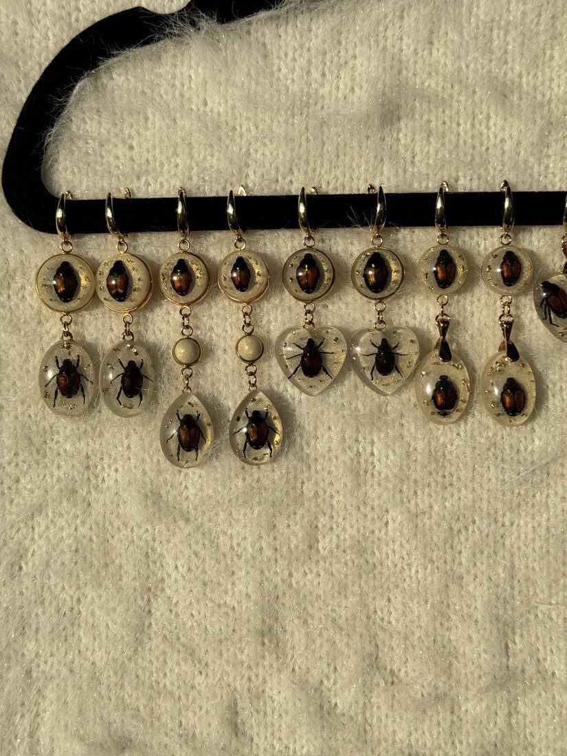 Beetle charms on a display board