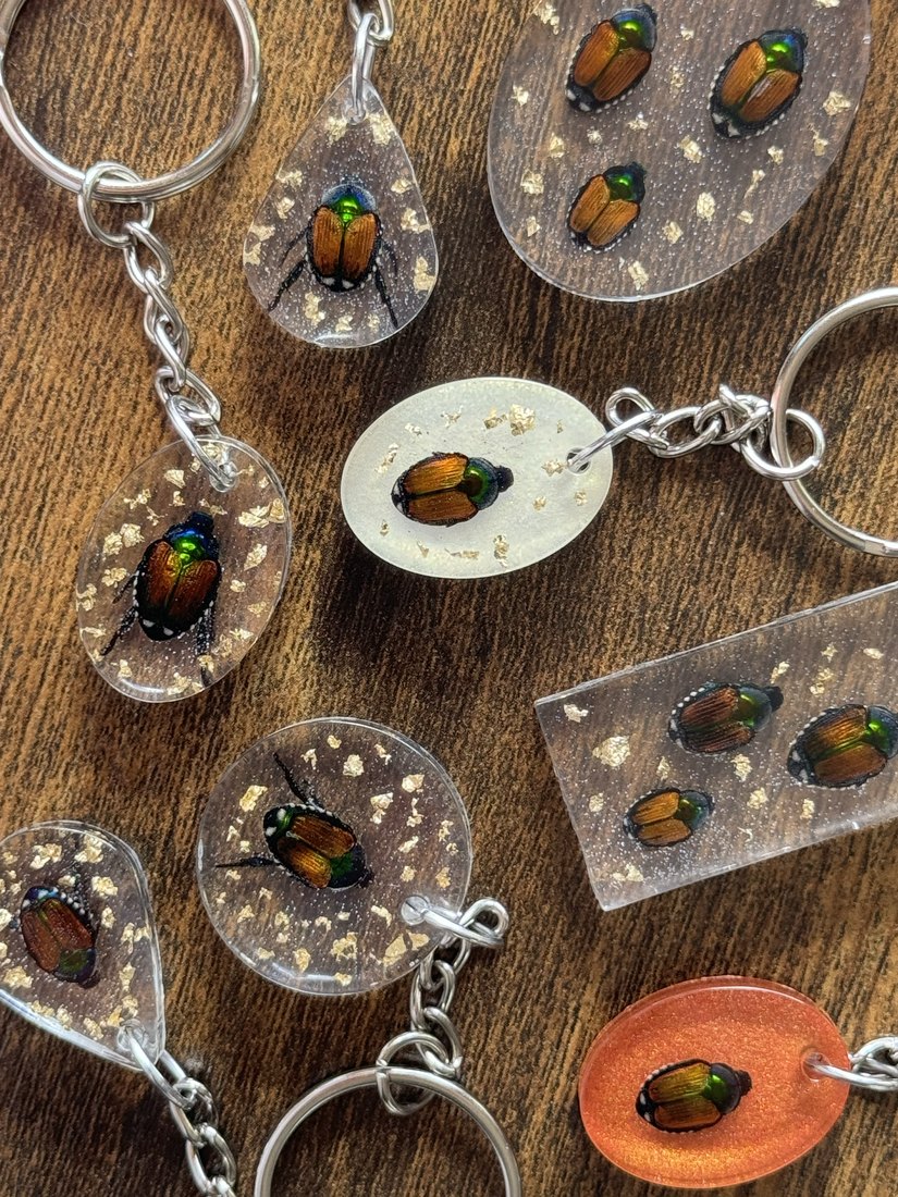 A set of beetle keychains and charms laid out on wood