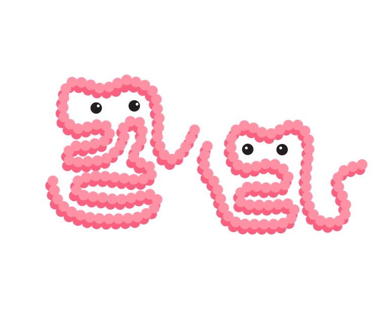 Final illustration: two pink gut characters facing each other.