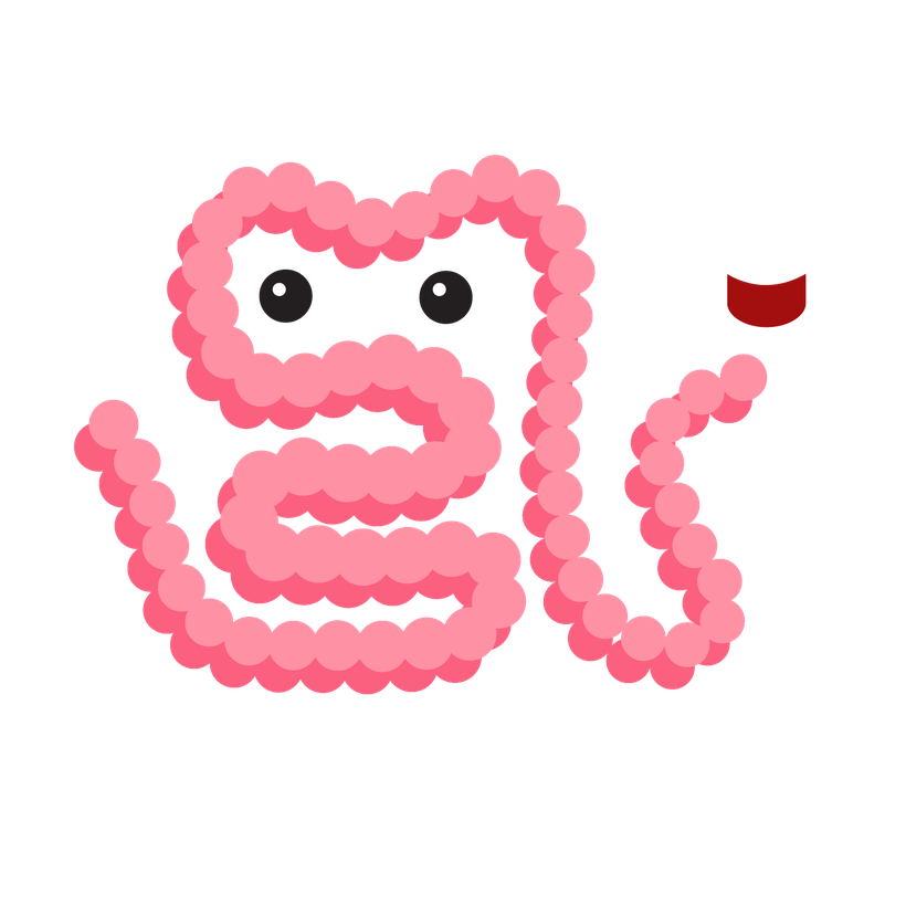Illustration of a pink coiled gut character beside a glass of red wine.