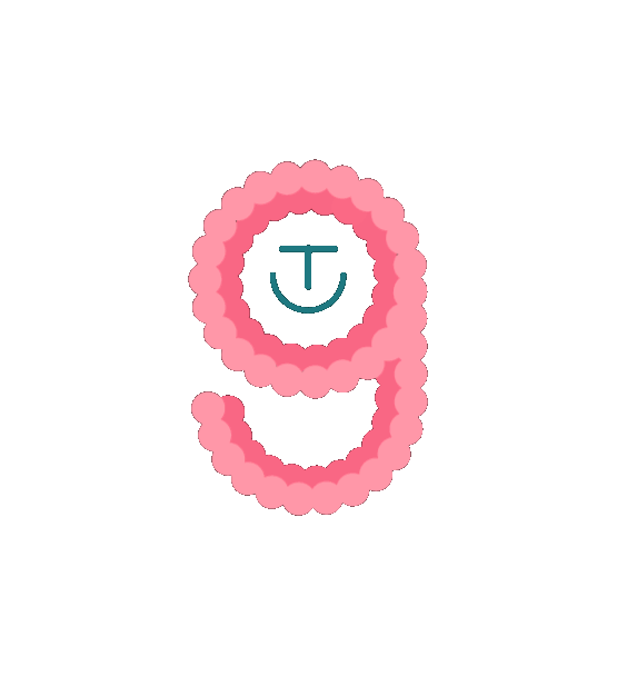 Gut Check logo animation