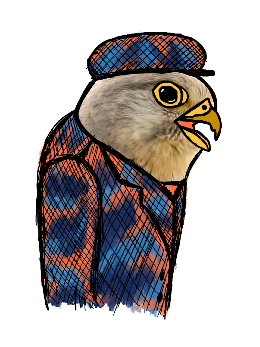 Persona card: Denis, 44