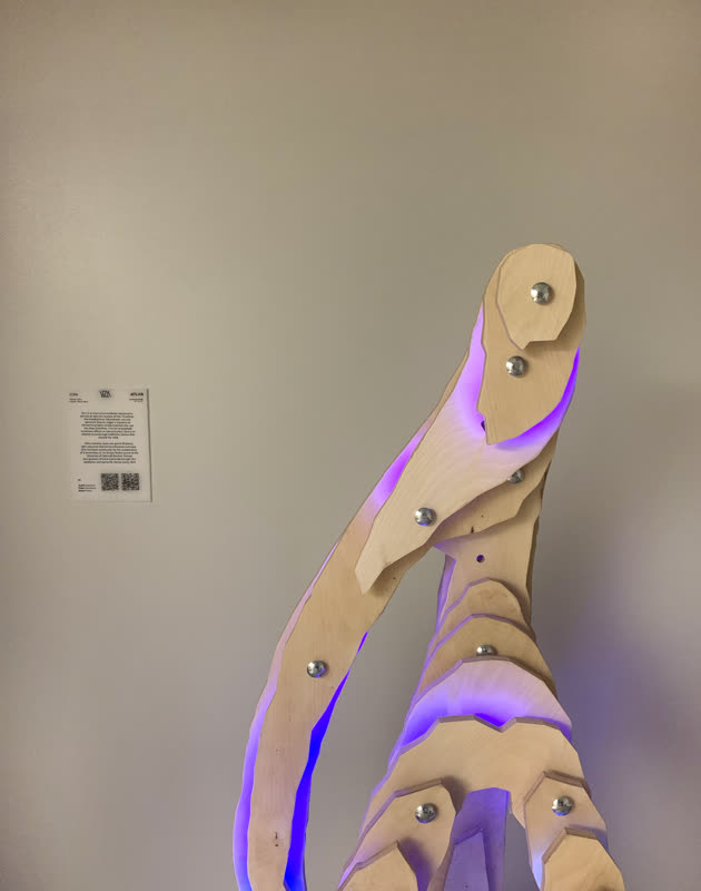 The upper form of Zora against the gallery wall, edge-lit violet, the printed label on the wall beside it.