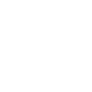 The four arrow keys