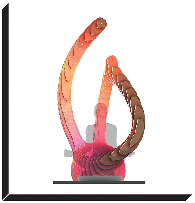 The organic form from the front